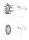Fig. 04 - Device for producing containers for liquid