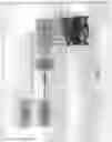 Fig. 02 - Visualization of tests on swing type check valve using phased array sequence scanning