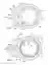 Fig. 06 - Ratchet wrench with a reduced head