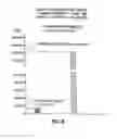Fig. 06 - BULLET-RESISTANT HAND-HELD DEFENSIVE OBJECT