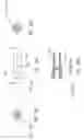 Fig. 16 - Firearm