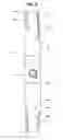 Fig. 05 - Aquatic Vegetation  Removal Device and Method