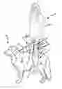 Fig. 01 - Animal support harness and method of supporting and restraining movement of the animal