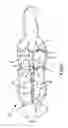 Fig. 03 - Animal support harness and method of supporting and restraining movement of the animal