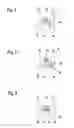 Fig. 05 - Method for operating a fuel system, and fuel system