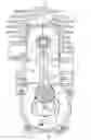 Fig. 01 - Two-cycle engine