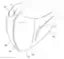 Fig. 01 - FACE MASK