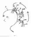 Fig. 09 - CLASPING DEVICE AND ACCESSORY SYSTEM WITH OPTIONAL AND INTERCHANGEABLE DECORATIVE ADD-ONS