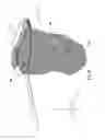 Fig. 06 - Combination pool strainer and brush and method of use