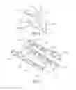 Fig. 06 - Root resurfacing attachment for hand held gas powered edgers