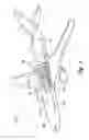 Fig. 02 - Methods for manufacturing composite sections for aircraft fuselages and other structures