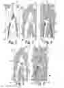 Fig. 03 - METHODS FOR MANUFACTURING PANELS AND PANEL OBTAINED HEREBY