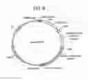 Fig. 10 - Altering lignin and wood density