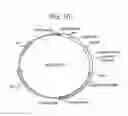 Fig. 11 - Altering lignin and wood density