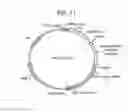 Fig. 12 - Altering lignin and wood density