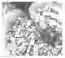 Fig. 01 - COMPOSITIONS AND METHODS FOR BAMBOO PULPING