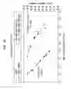 Fig. 25 - Method of making a fabric-creped absorbent cellulosic sheet