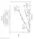 Fig. 26 - Fabric-creped absorbent cellulosic sheet having a variable local basis weight