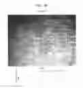 Fig. 19 - Method of making a belt-creped absorbent cellulosic sheet