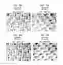 Fig. 21 - Method of making a belt-creped absorbent cellulosic sheet