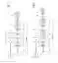 Fig. 02 - PROCESS AND PLANT FOR MANUFACTURING STEEL PLATES WITHOUT INTERRUPTION
