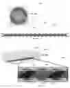 Fig. 14 - Computer cooling system and method of use