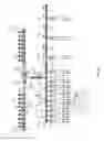 Fig. 06 - Uni-bore dump line for fracturing manifold