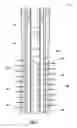Fig. 02 - Perforating gun with variable free gun volume
