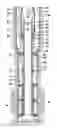 Fig. 01 - Electric submersible pumping completion flow diverter system