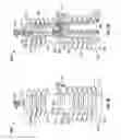 Fig. 03 - Electrical current interrupting device