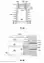 Fig. 04 - Electrical current interrupting device
