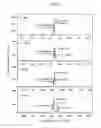 Fig. 07 - FILLER FOR ANALYZING CAPILLARY ELECTROPHORESIS-BASED SINGLE STRAND CONFORMATION POLYMORPHISM, AND METHOD FOR USING THE FILLER FOR ANALYZING CAPILLARY ELECTROPHORESIS-BASED SINGLE STRAND CONFORMATION POLYMORPHISM