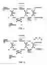 Fig. 02 - Amperometric Creatinine Biosensor With Immobilized Enzyme-Polymer Composition And Systems Using Same, And Methods