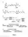 Fig. 03 - Amperometric Creatinine Biosensor With Immobilized Enzyme-Polymer Composition And Systems Using Same, And Methods