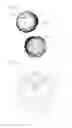 Fig. 02 - Fluid purification unit and fluid purification assembly including the same