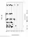 Fig. 20 - Screen basket optimized for removal of stickies from adhesives-contaminated recyclable fiber