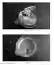 Fig. 07 - POUR SPOUT