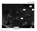 Fig. 11 - Particle spraying