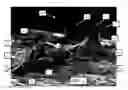 Fig. 12 - Particle spraying