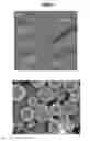 Fig. 02 - Nanotextured surfaces and related methods, systems, and uses