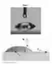 Fig. 08 - Nanotextured surfaces and related methods, systems, and uses