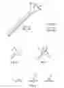 Fig. 02 - Drinking Straw
