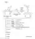 Fig. 08 - Light-absorbing material and photoelectric conversion element