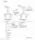 Fig. 09 - Light-absorbing material and photoelectric conversion element