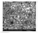 Fig. 01 - TRANSPARENT CONDUCTIVE OXIDES HAVING A NANOSTRUCTURED SURFACE AND USES THEREOF