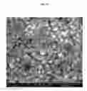 Fig. 02 - TRANSPARENT CONDUCTIVE OXIDES HAVING A NANOSTRUCTURED SURFACE AND USES THEREOF
