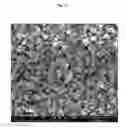 Fig. 04 - TRANSPARENT CONDUCTIVE OXIDES HAVING A NANOSTRUCTURED SURFACE AND USES THEREOF