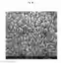 Fig. 05 - TRANSPARENT CONDUCTIVE OXIDES HAVING A NANOSTRUCTURED SURFACE AND USES THEREOF
