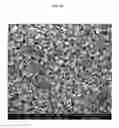 Fig. 06 - TRANSPARENT CONDUCTIVE OXIDES HAVING A NANOSTRUCTURED SURFACE AND USES THEREOF