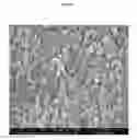 Fig. 07 - TRANSPARENT CONDUCTIVE OXIDES HAVING A NANOSTRUCTURED SURFACE AND USES THEREOF
